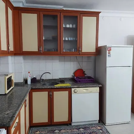 Deniz Manzarali Genis Daire